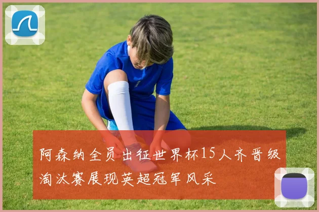 阿森纳全员出征世界杯15人齐晋级淘汰赛展现英超冠军风采